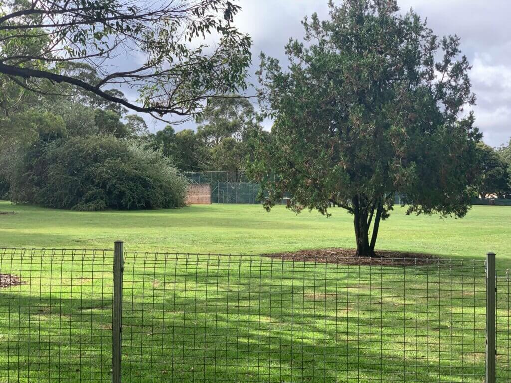 MICHAEL PARK Kuhls Road