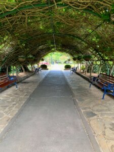 Carnival of Flowers - Laurel Bank Park